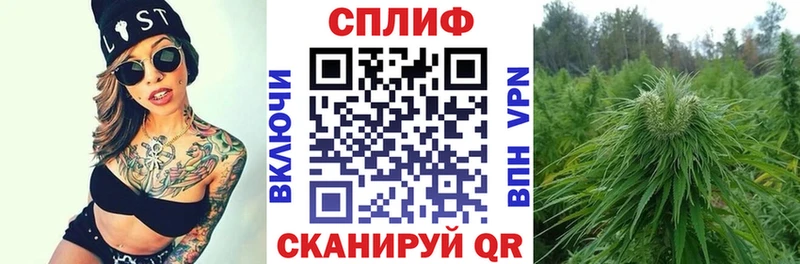Бошки Шишки планчик  blacksprut ONION  Бирюч 